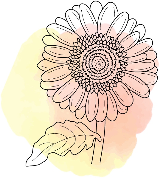 orengeflower